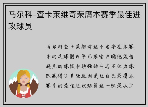 马尔科-查卡莱维奇荣膺本赛季最佳进攻球员