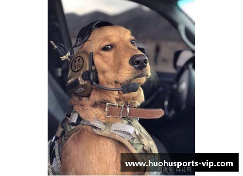 火狐体育官方网站能轻松战胜比特犬的狗，却被外国人当宠物，网友看得瑟瑟发抖