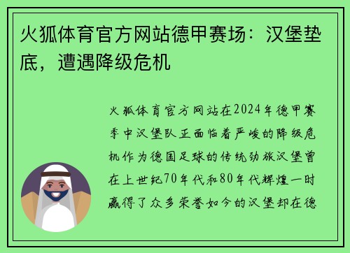 火狐体育官方网站德甲赛场：汉堡垫底，遭遇降级危机
